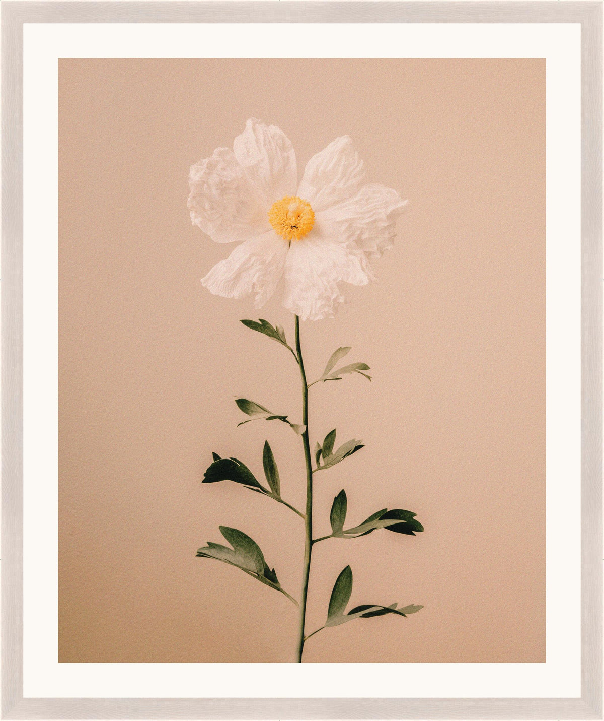 Surya Atonement Petals ATON-002 16"H x 14"W x 1"D Art