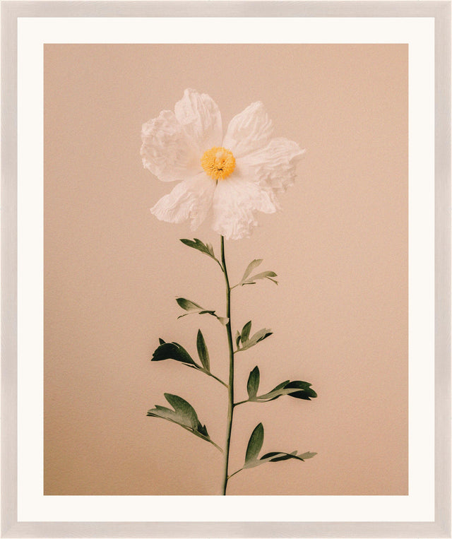 Surya Atonement Petals ATON-002 31"H x 26"W x 1"D Art