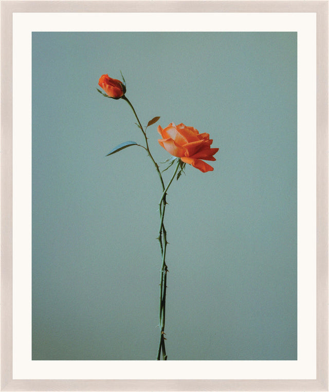 Surya Atonement Petals ATON-004 35"H x 29"W x 1"D Art
