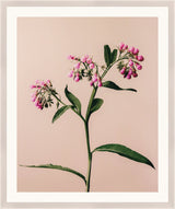 Surya Atonement Petals ATON-005 28"H x 23"W x 1"D Art