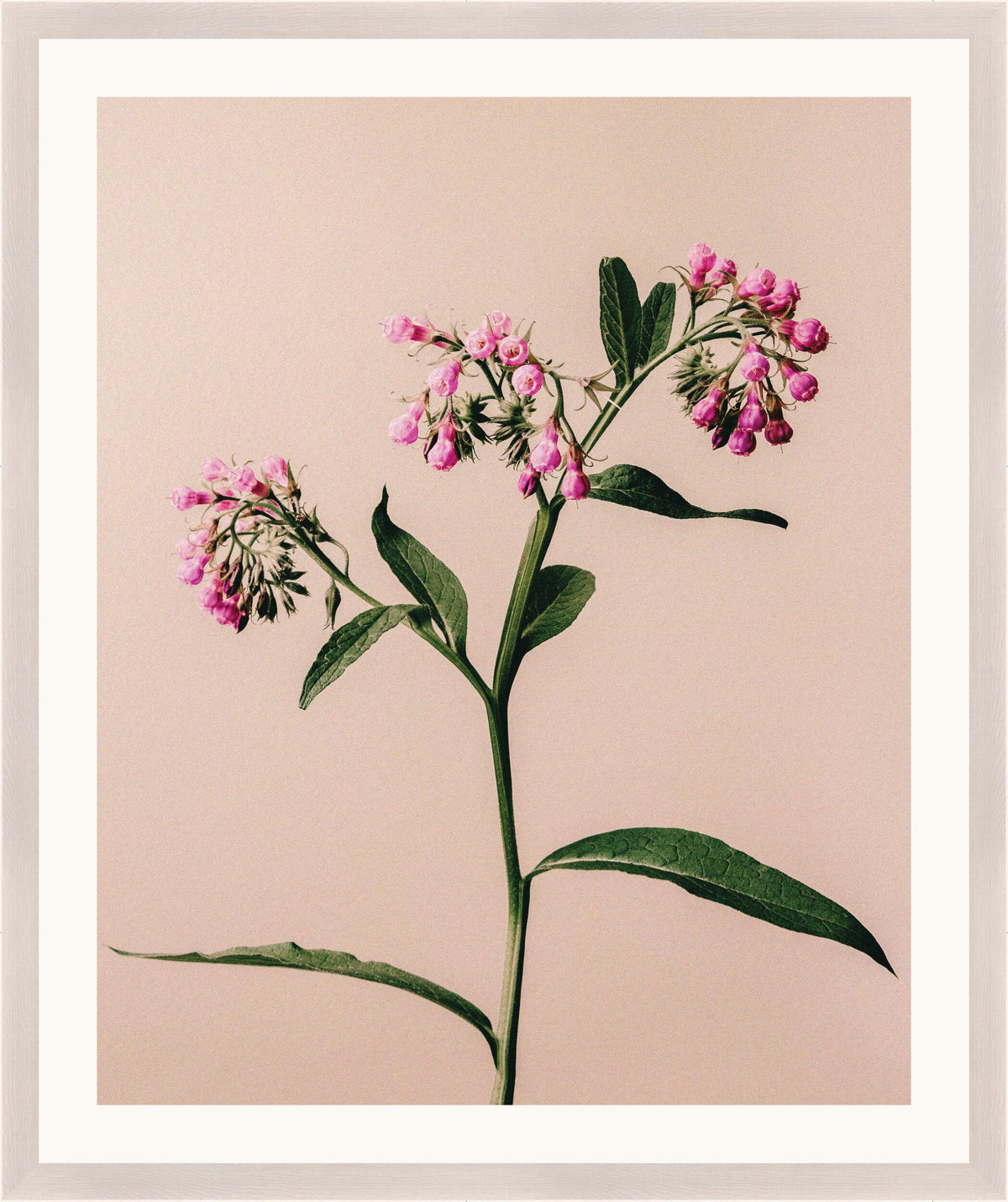 Surya Atonement Petals ATON-005 31"H x 26"W x 1"D Art