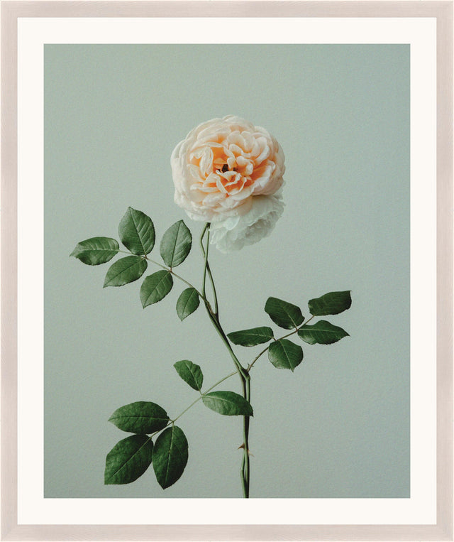 Surya Atonement Petals ATON-006 35"H x 29"W x 1"D Art