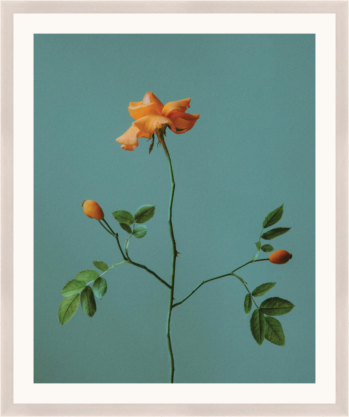 Surya Atonement Petals ATON-008 16"H x 14"W x 1"D Art