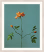 Surya Atonement Petals ATON-008 16"H x 14"W x 1"D Art