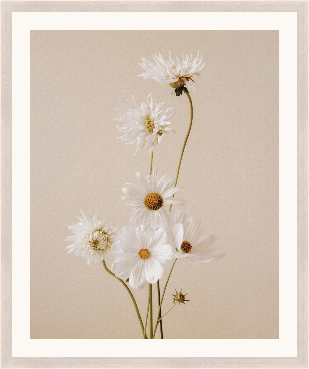 Surya Atonement Petals ATON-009 35"H x 29"W x 1"D Art