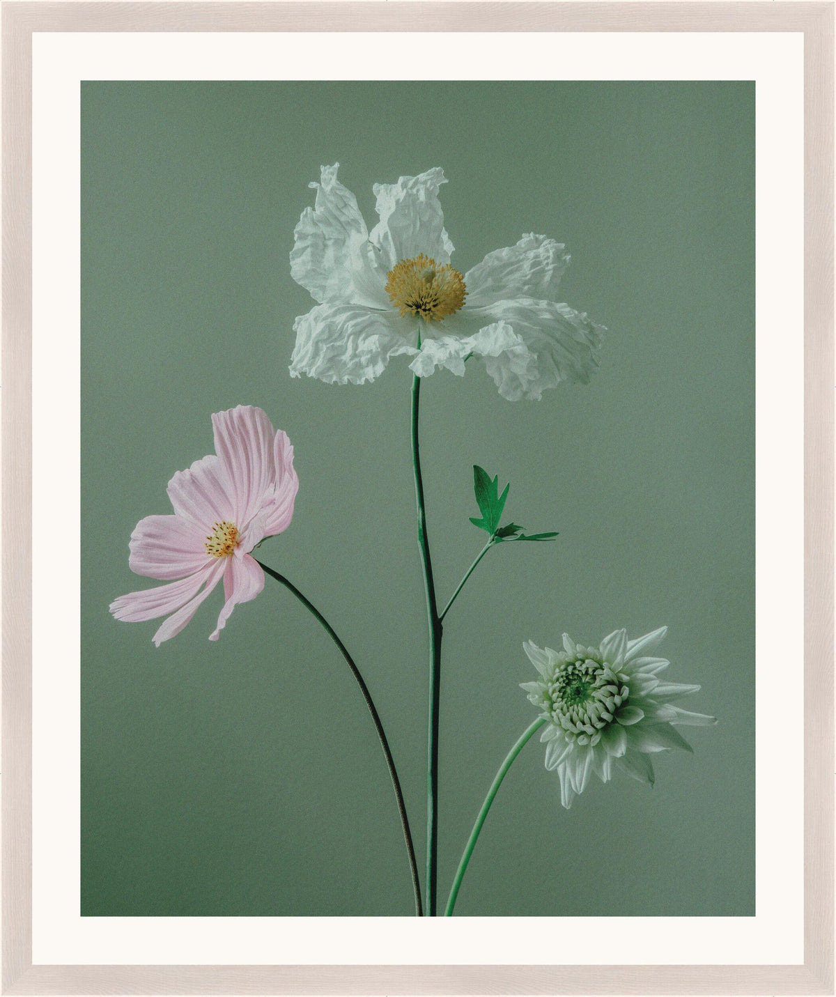 Surya Atonement Petals ATON-012 31"H x 26"W x 1"D Art