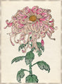 Surya Chrysanthemum Studies CHRY-001 37"H x 28"W x 1"D Art
