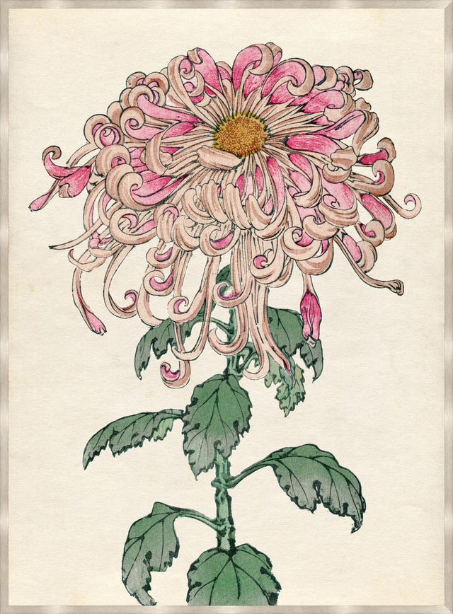 Surya Chrysanthemum Studies CHRY-001 48"H x 36"W x 1"D Art