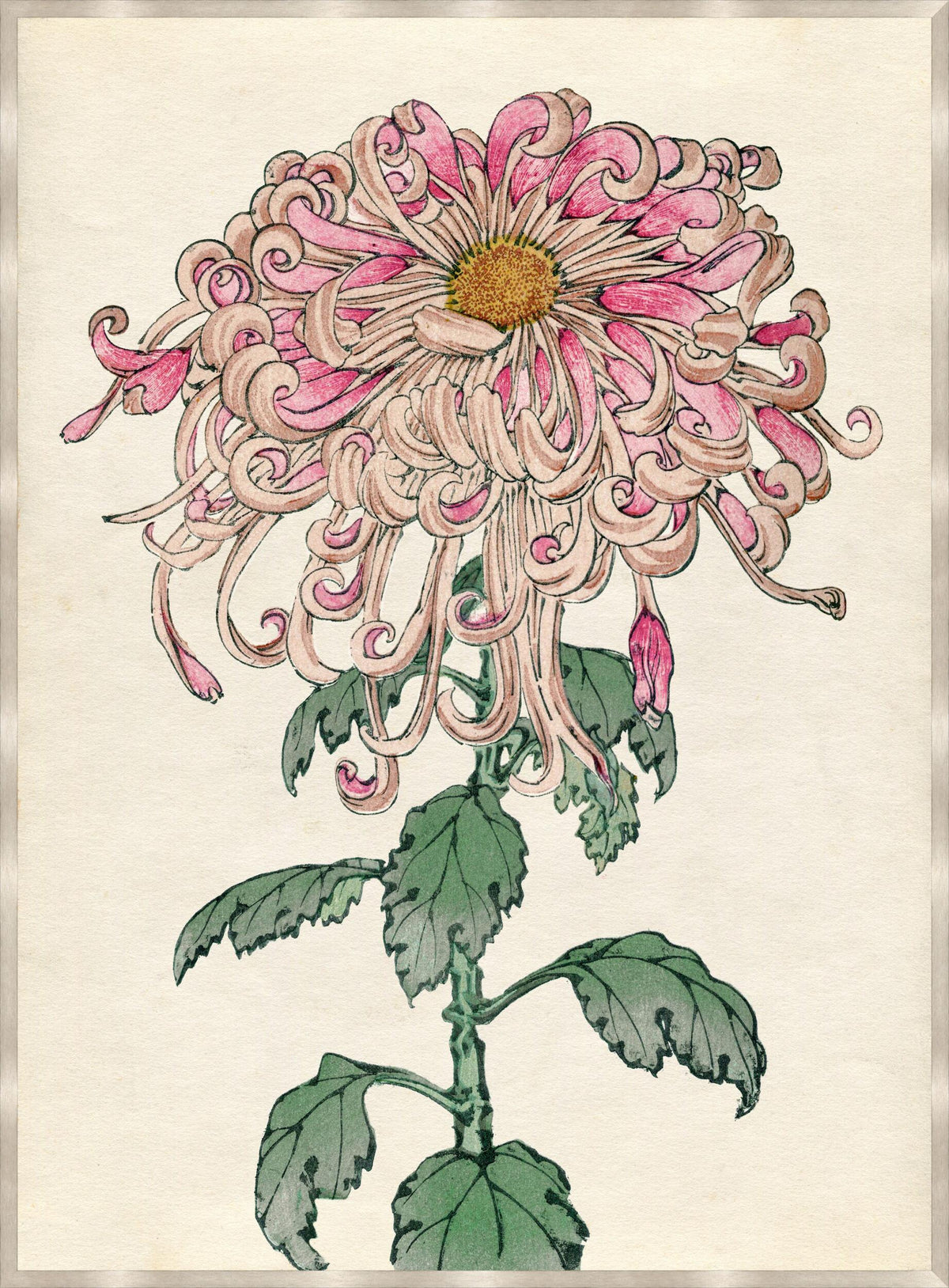 Surya Chrysanthemum Studies CHRY-001 65"H x 48"W x 1"D Art