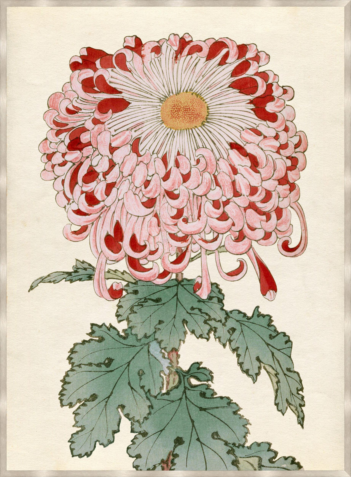 Surya Chrysanthemum Studies CHRY-002 27"H x 20"W x 1"D Art