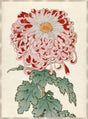 Surya Chrysanthemum Studies CHRY-002 32"H x 24"W x 1"D Art