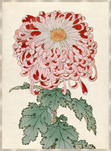 Surya Chrysanthemum Studies CHRY-002 48"H x 36"W x 1"D Art
