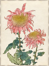Surya Chrysanthemum Studies CHRY-003 54"H x 40"W x 1"D Art