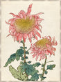 Surya Chrysanthemum Studies CHRY-003 59"H x 44"W x 1"D Art