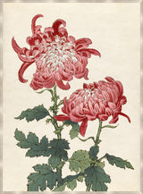Surya Chrysanthemum Studies CHRY-005 32"H x 24"W x 1"D Art