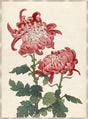 Surya Chrysanthemum Studies CHRY-005 48"H x 36"W x 1"D Art