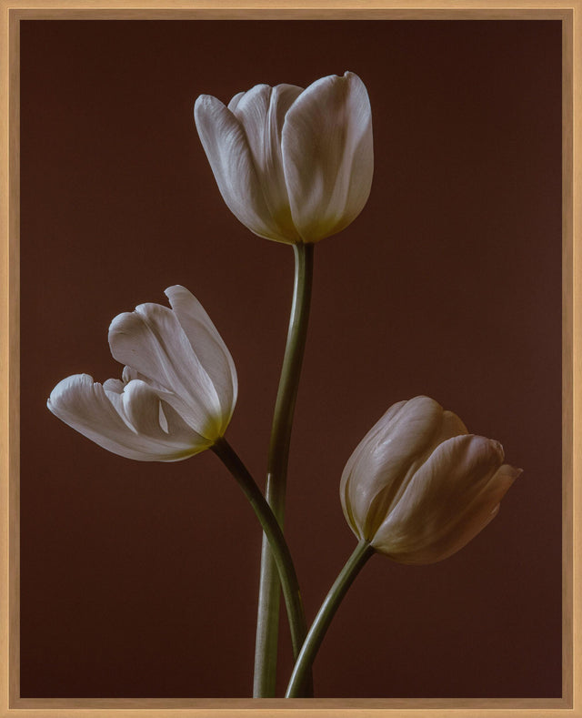 Surya Cinnamon Dance CIND-001 17"H x 14"W x 2"D Art