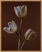 Surya Cinnamon Dance CIND-001 27"H x 22"W x 2"D Art