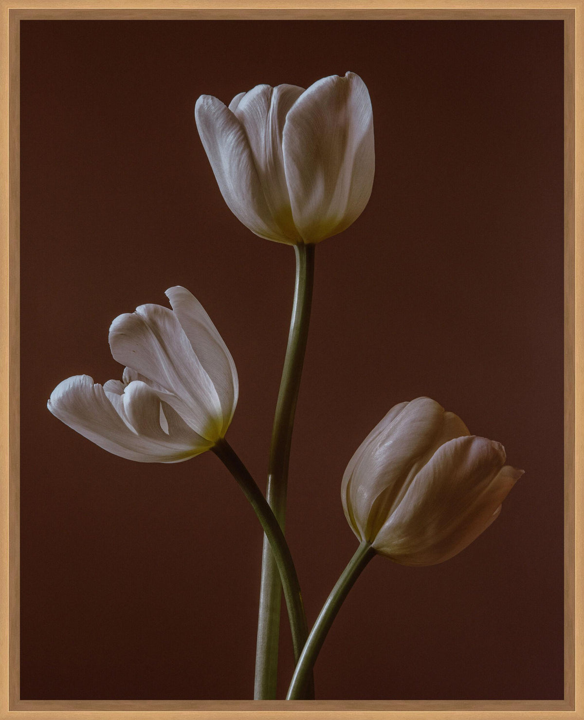 Surya Cinnamon Dance CIND-001 32"H x 26"W x 2"D Art