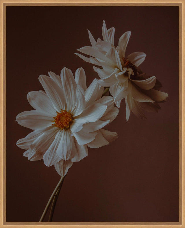 Surya Cinnamon Dance CIND-002 27"H x 22"W x 2"D Art