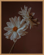 Surya Cinnamon Dance CIND-002 27"H x 22"W x 2"D Art