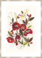 Surya Crimson Hellebores CRIM-001 35"H x 26"W x 1"D Art