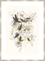 Surya Fresh Hellebores FRHE-001 47"H x 34"W x 1"D Art