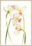 Surya Icalandic Blooms ICAL-002 24"H x 17"W x 2"D Art