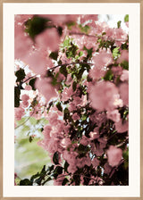 Surya Southern Florals SOUT-001 53"H x 38"W x 1"D Art