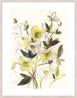 Surya Spring Hellebores SPHE-001 43"H x 34"W x 1"D Art
