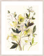 Surya Spring Hellebores SPHE-001 38"H x 30"W x 1"D Art