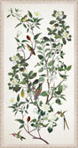 Surya The Bloom Holds THEB-002 44"H x 24"W x 1"D Art