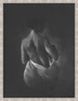 Surya The Unveiling THEU-001 28"H x 22"W x 3"D Art