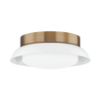 Troy Lighting Arnie PATINA BRASS 14.25W x 5.25H Flush Mount C2014-PBR/GWH