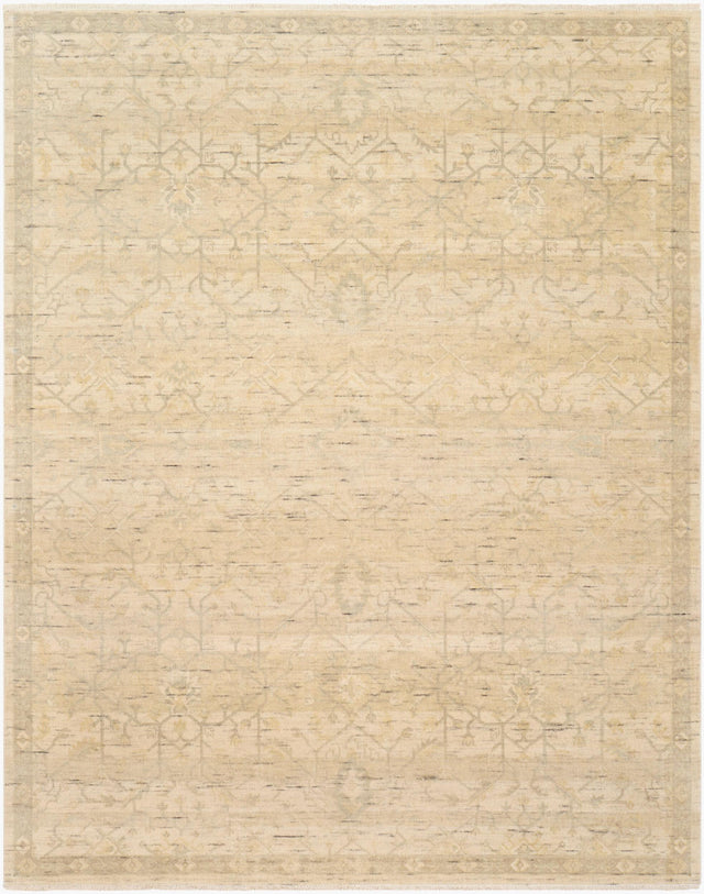 Surya Valladoid VDD-2301 9' x 12' Handmade Rug