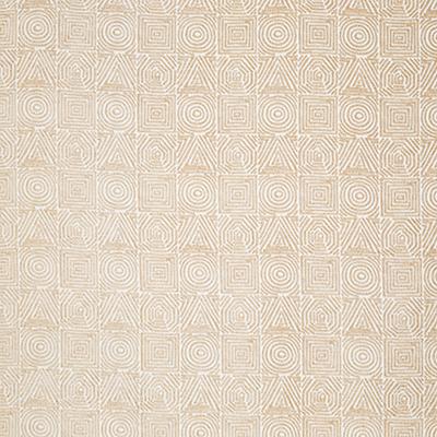 Pindler PATH BISQUE Fabric