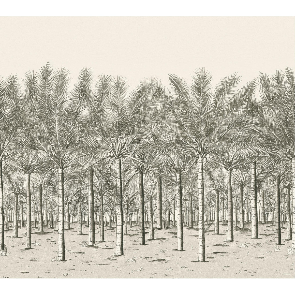Thibaut Palm Grove Mural Black Tea
