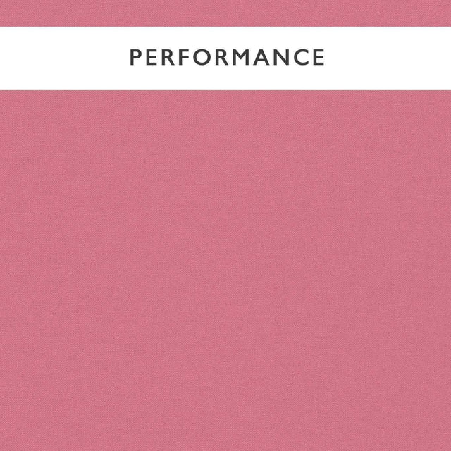 Harlequin Allegra Peony Fabric