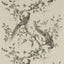 Zoffany Darnley Dove Wallpaper
