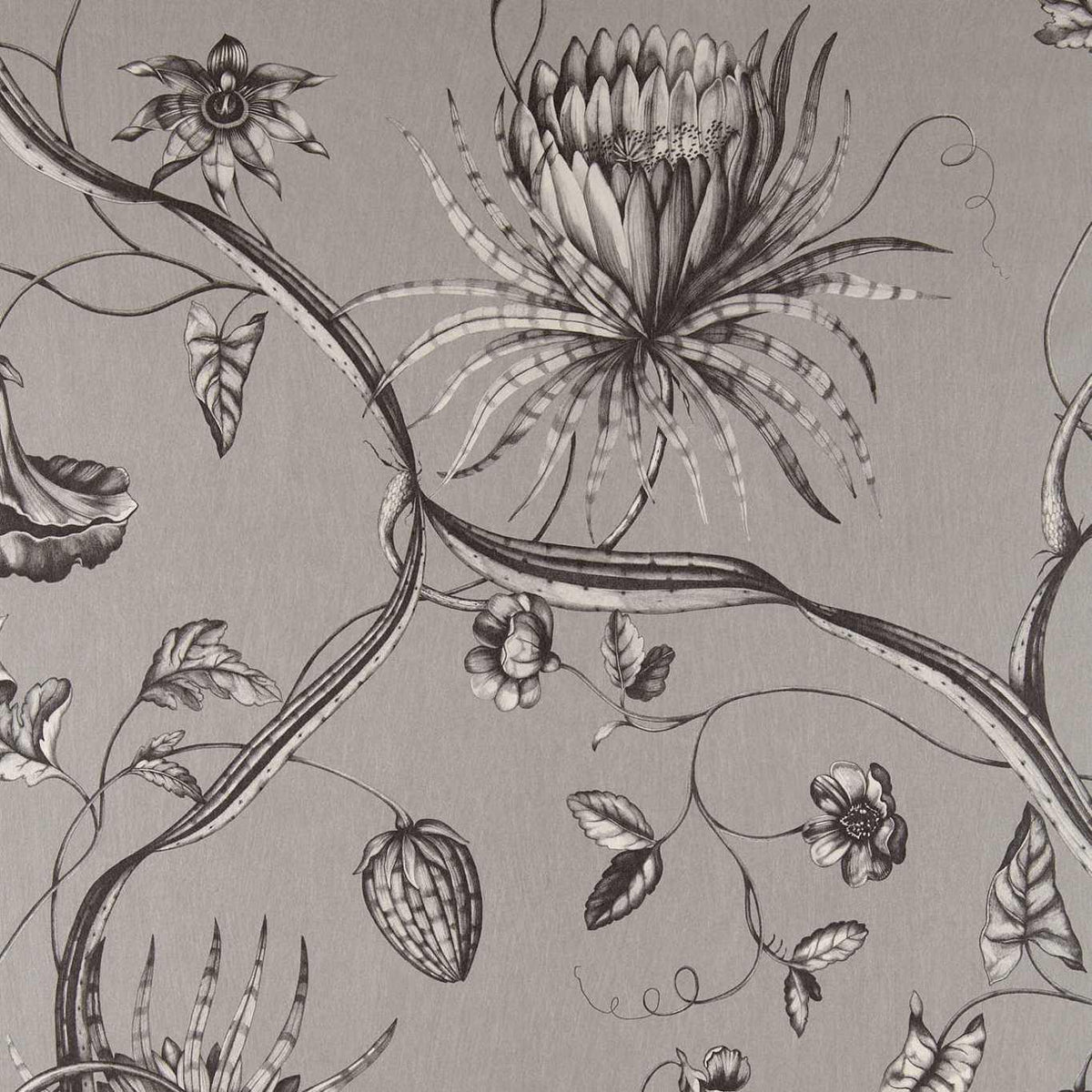Zoffany Phaedra Silver Wallpaper