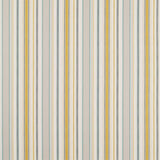 Sanderson Dobby Stripe Dijon Fabric DSCA235895