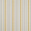 Sanderson Dobby Stripe Dijon Fabric DSCA235895