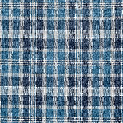 Pindler THAYER INK Fabric