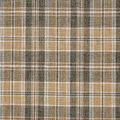 Pindler THAYER MOSS Fabric