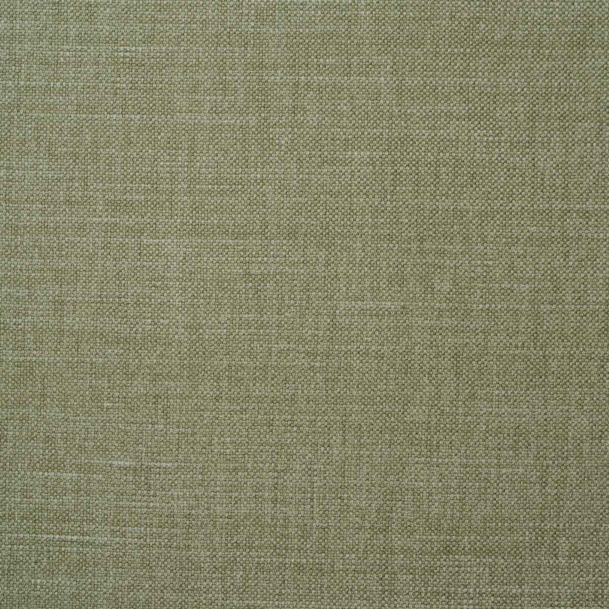 Schumacher Kristen Performance Union Moss Fabric