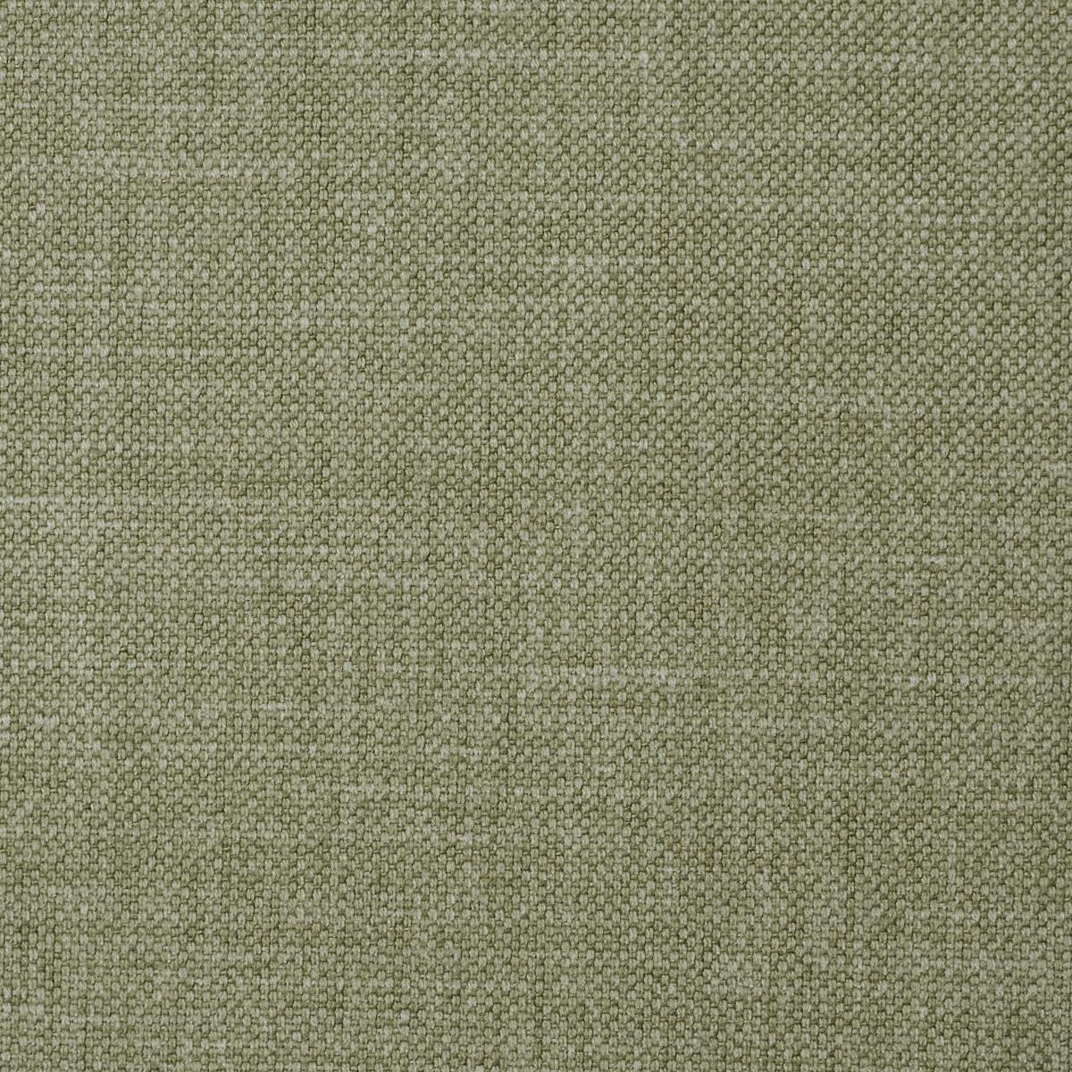 Schumacher Kristen Performance Union Moss Fabric