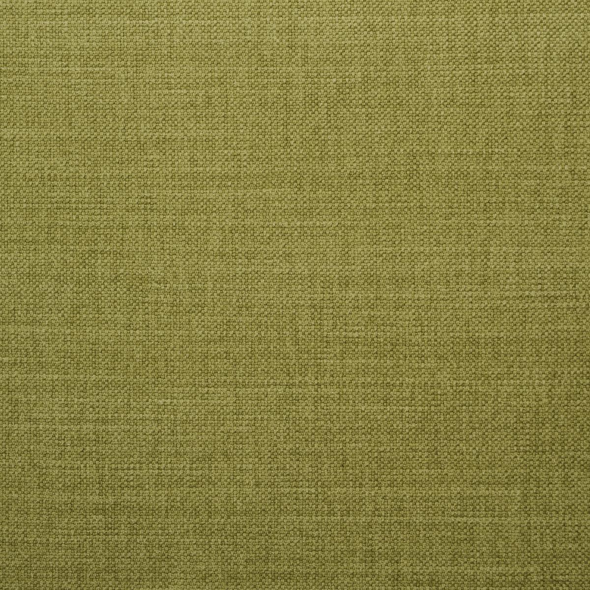 Schumacher Kristen Performance Union Grass Fabric
