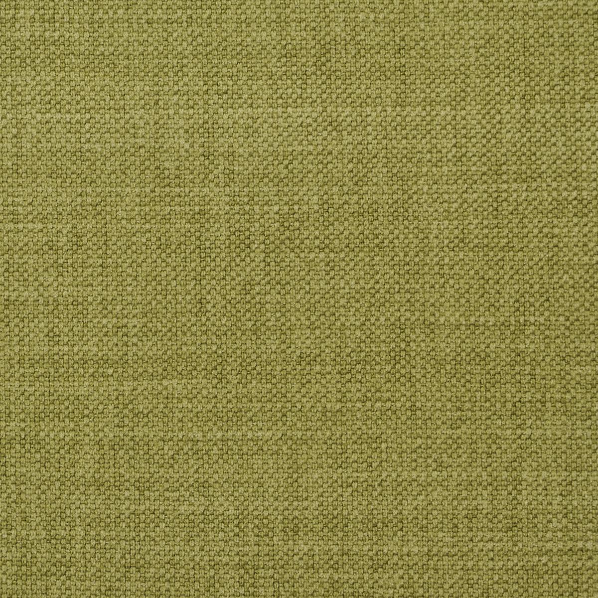 Schumacher Kristen Performance Union Grass Fabric