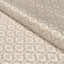 Schumacher Villa Cavrois Cut Velvet Pearl Fabric
