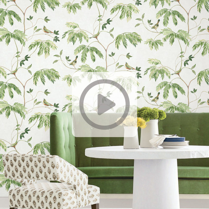 Antonina Vella Wallpaper